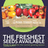 Pack 12 Packs 2026 Organic Tomato Seeds Variety - Individual - Season - Roma, Cherry, Black Krim, Yellow Pear