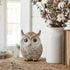 Smadeer Owl Statue and Figurine for Home Decor Accents Adorable Owl for Shelf Bookshelf Bedroom Living Room Office