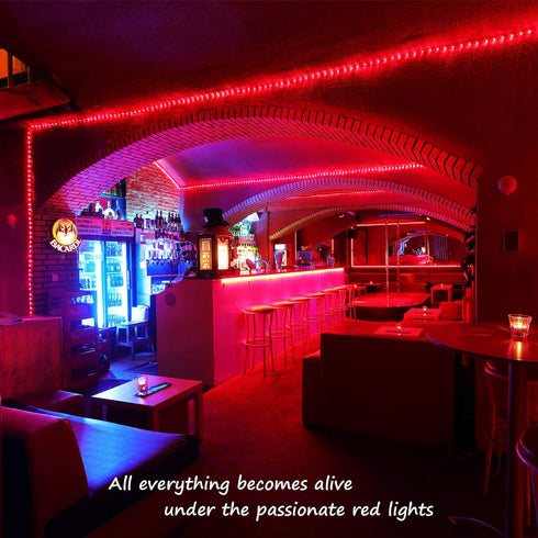 Areful 16ft 360 Red LED Lights, Rope Lights, Flexible and Connectable Strip Lighting, Waterproof for Indoor Outdoor