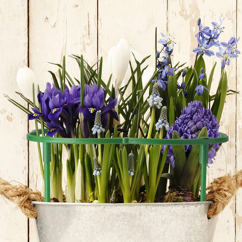 12Packs 3 Plant Support Stakes Half Round Plant Stakes for Indoor Plants, Stackable Tier Garden Flower Support, Plant