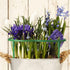 36Packs 3 Plant Support Stake Half Round Plant Support for Indoor Plants, Stackable Tier Garden Flower Support, Plant