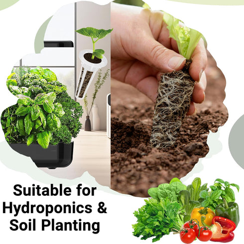 8 600+ Herb & Salad Seed Pods for All Hydroponics Growing Systems, Pods with Seeds of Basil, Spinach, Romaine, Red