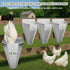 Bester 18 lbs, Large Chicken Cone for Butchering, Upgraded Thickened Stainless Steel Kill Cone, Flat-Back Killing Cone