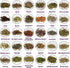 HOOMUU 30 Pack Witchcraft Herbs and Flowers, Essential Mixed Dried Herbal Box for Wicca Altar Rituals, Pagan Magic
