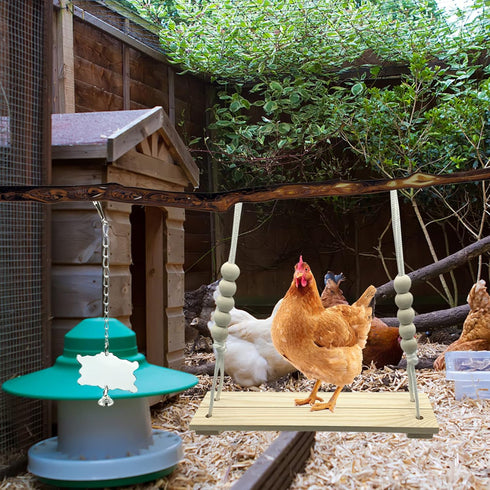 KIEYYRYT 6 Packs Chicken Toys for Coop Accessries, Chicken Swing Toys for Chicken Hens, Chicken Xylophone Toys