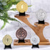 36 Packs Mini Easel Stands, 2.17 x 1.65 Inch Black Display Stand for Coins, Watches, Pictures, Collectibles