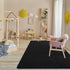 Keeko Soft Area Rugs for Bedroom Living Room, 2x3 Black Modern Low Pile Fluffy Small Rug Door Mat