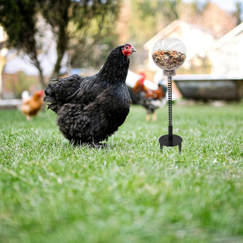 Oooct 4 Pack Chicken Pecking Toys with Swing Feeder, Coop Slow Feeder Toy for Chickens, Chicks, Ducks, Hens, Parrots