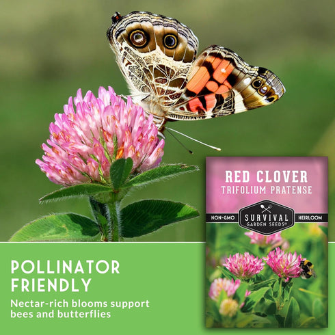 (1 Pack) Red Clover Seeds for Planting Nitrogen-Fixing Cover Crop & Ground Cover for Soil Building and Pollinators