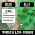 (1 lb) (1, Organic Instant Compost Tea Probiotic Plant Food Bloom Booster & Yield Booster for Hydroponics & All