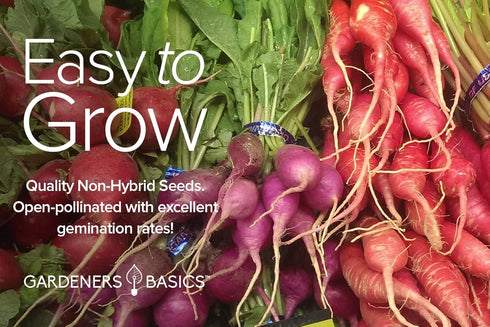 5 Packets Gardeners Basics, Radish Seeds for Planting Individual - Watermelon, French Breakfast, Champion, Cherry