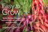 5 Packets Gardeners Basics, Radish Seeds for Planting Individual - Watermelon, French Breakfast, Champion, Cherry