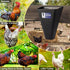 Elspezi 8 1 Pack) Chicken Cone, Medium Size Chicken Cone for Butchering, Poultry Restraining Cones for Processing, Kill