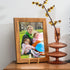 IBosins 5 Pack 6 Inch Metal Gold Frame Plate Holder Display Stands for Pictures, Books, Collectibles