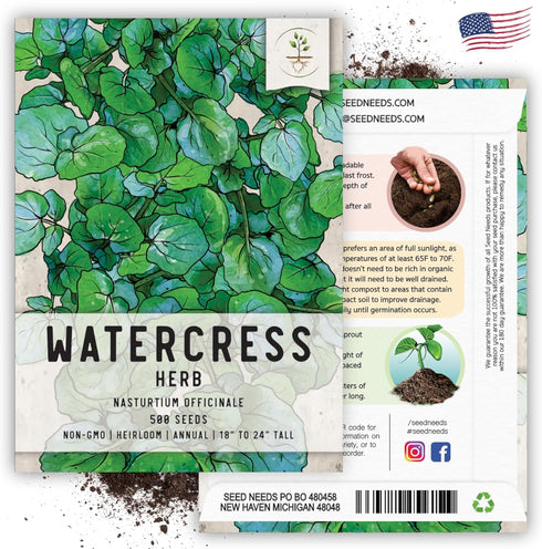 (2 Packs) Seed Needs Watercress Seeds for Planting Nasturtium officinale - Non-GMO Heirloom & Untreated - Plant Your