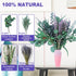 2 Bundles Dried Eucalyptus & Lavender Flowers for Shower, 100 pcs 17'' Natural Real Hanging Silver Dollar Eucalyptus Leaves Stems,Fresh Shower Plants Fragrance Home Bathroom Decor