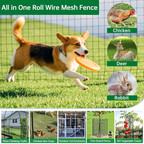 2 inch 3 inch 36inch 25ft 16 Amagabeli Black Coated Welded Wire Fence x x Gauge Garden Fence Chicken Wire Fencing Roll