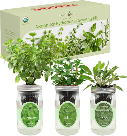 Set, Hydroponic Herb Growing Kit Self-Watering Mason Jar Herb Garden Starter Kit Indoor, Windowsill Herbs Garden. Grow