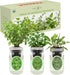 Set, Hydroponic Herb Growing Kit Self-Watering Mason Jar Herb Garden Starter Kit Indoor, Windowsill Herbs Garden. Grow