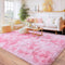 Rugs for Bedroom, Ultra Fluffy Fuzzy Shag 5x7 Area Rug for Living