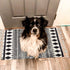 USTIDE Cotton Rug Black&Cream Boho Rag Rug Washable Farmhouse Bath Tassel Rug Doormat Hand Woven Fringe Rug Chindi Rug 2’×3’ by USTIDE