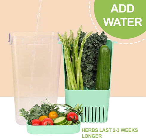 2 Pack 3 LUVCOSY Herb Keeper, BPA-Free Plastic Herb Saver with an Inner Basket for Cilantro, Mint, Parsley