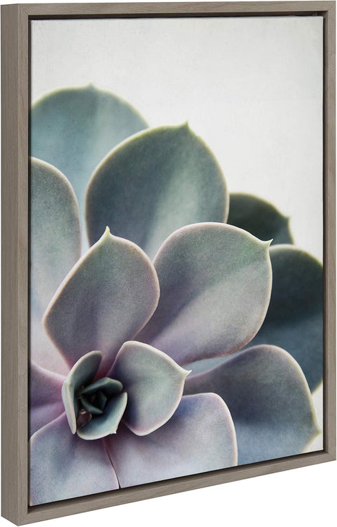 Kate and Laurel Sylvie Succulent 5 Framed Canvas by F2 Images, 18x24 in Gray