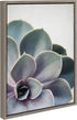 Kate and Laurel Sylvie Succulent 5 Framed Canvas by F2 Images, 18x24 in Gray