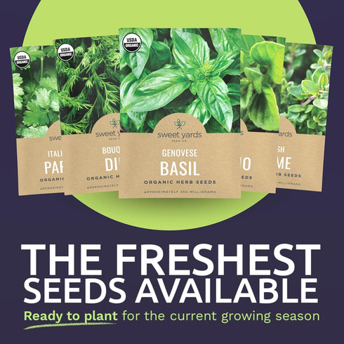 Pack 5 Packs 2026 Organic Herb Seeds Variety - Individual - Season - Basil, Oregano, Dill, Thyme & Parsley. for Indoor