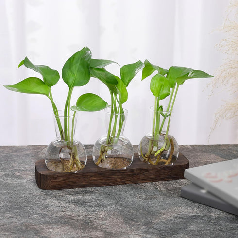 Decor(3 YIBOT Propagation Stations,Plant Propagation Vase,Desk Plant Terrarium with Retro Wooden Stand,Plant Lover