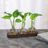 Decor(3 YIBOT Propagation Stations,Plant Propagation Vase,Desk Plant Terrarium with Retro Wooden Stand,Plant Lover