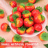Meiwlong 27 1.5 Inch Pcs Small Artificial Tomatos,Mini Fake Tomato for Decoration, Realistic Plastic Fake Fruits