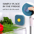 Fridge Deodorizer Odor Eliminator - Activated Charcoal Air Freshener for Refrigerator & Freezer, Natural Odor Absorber