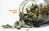 Pressure Sensitive Torque Activated Seals Cap Liners - 53mm, 100 PCS for Bottles & Containers