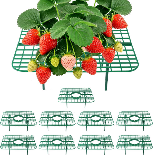 Strawberry Plant Support, 10 Pack, Raised Grid Stand to Keep Strawberries Off