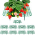 Strawberry Plant Support, 10 Pack, Raised Grid Stand to Keep Strawberries Off