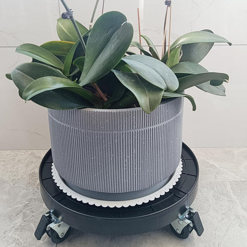 alleegold 16 Inch 360 Wheels,500 Lbs Heavy Duty Plant Caddy With Lockable Capacity,Outdoor Indoor Rolling Plant Stand