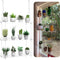 ZerzSemp 3-Tier Hanging Clear Plant Shelves for Windows, Acrylic Window Wall Plant Stand