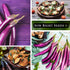 Packet (4) Sow Right Seeds - Long Purple Eggplant Seeds for Planting - Non-GMO Heirloom with Instructions to Plant an