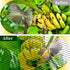 13 40 Bird Netting for Garden, x FT Bird Netting for Chicken Coop, Heavy Duty Garden Poultry Net Mesh with Ties