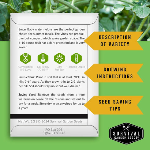(1 Pack) Sugar Baby Watermelon Seeds - Grow Little Round Icebox Watermelons at Home - Non-GMO Heirloom Variety