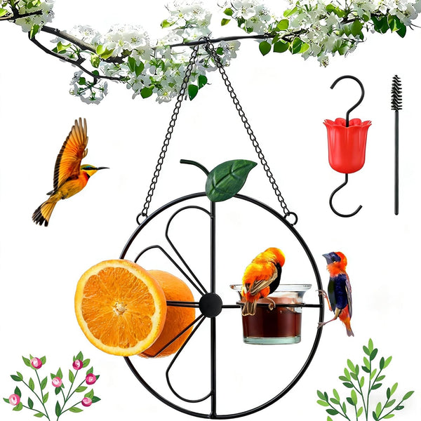 Dunkive Baltimore Oriole Bird Feeder for Outdoors Oriole Feeder with Ant Moat &