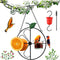 Dunkive Baltimore Oriole Bird Feeder for Outdoors Oriole Feeder with Ant Moat &