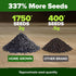 Pack 1,750+ HOME GROWN Non GMO Genovese Basil Seeds High Germination Heirloom Seeds (Ocimum basilicum) Herb Seeds