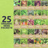 Pack 25 Packs 2026 Organic Lettuce & Greens Seed Variety - Individual - Season - Lacinato Kale, Roquette Arugula, Red
