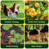 13 40 Bird Netting for Garden, x FT Bird Netting for Chicken Coop, Heavy Duty Garden Poultry Net Mesh with Ties
