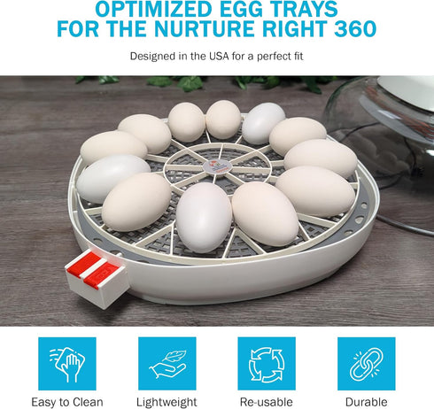 Incubator Warehouse 11 360 Egg Trays for Large (Goose/Turkey) Eggs - Durable Egg Tray for Nurture Right Egg Incubator