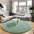 5Ft Sage Green Round Rugs for Boys Bedroom,Shaggy Circle Rug for Kids Room,Fluffy Carpet for Classroom Shag Circular
