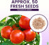 Moneymaker Tomato Seeds for Planting Large & Juicy One of the Most Delicious Tomatoes for Home Growing Vegetable Seeds