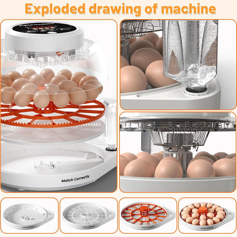 12 Egg Incubator for Hatching Eggs with Automatic Egg Turning, Temperature & Humidity Control Display, Built-in LED Egg